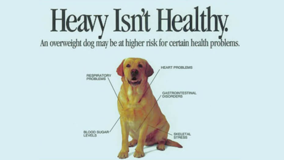 "Важкий не здоровий" плакат