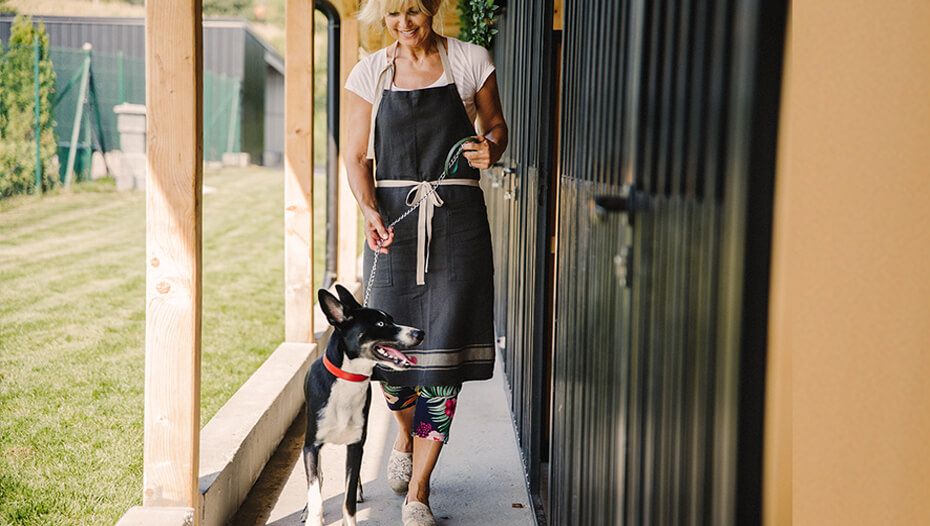 dog visiting a kennel