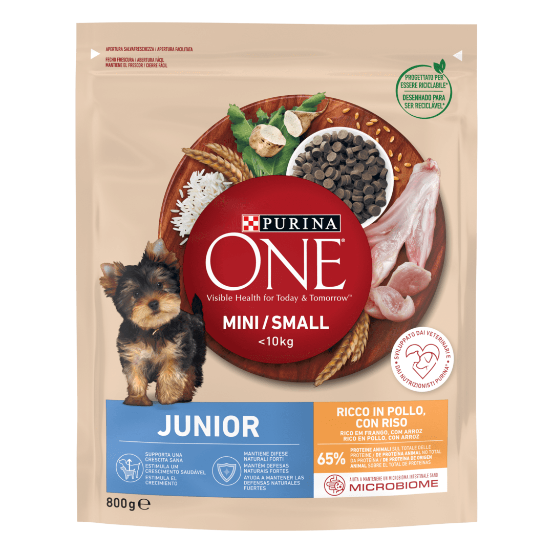 Pediatric junior small shop dog under 10kg