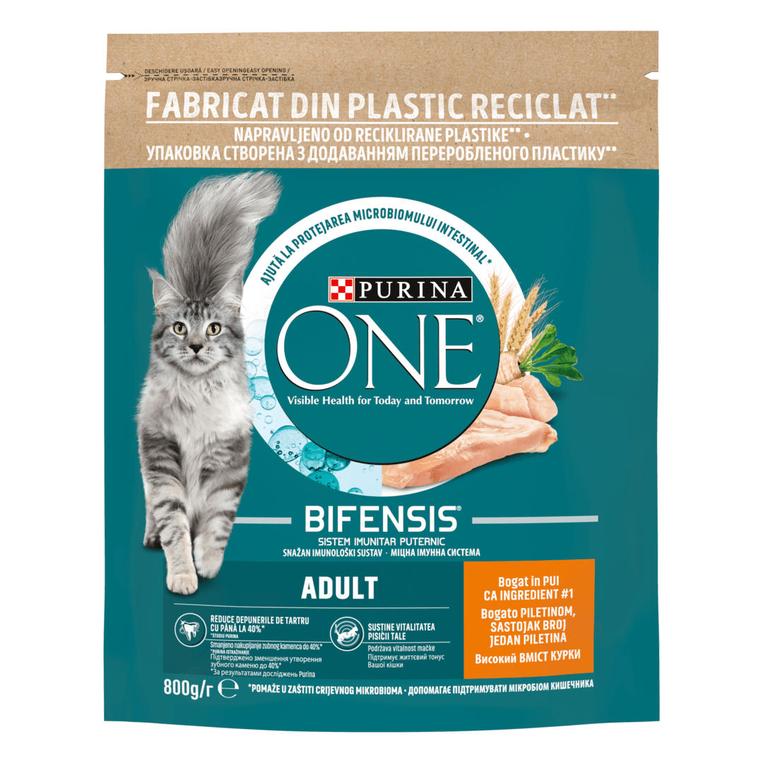 PURINA ONE Adult. Purina