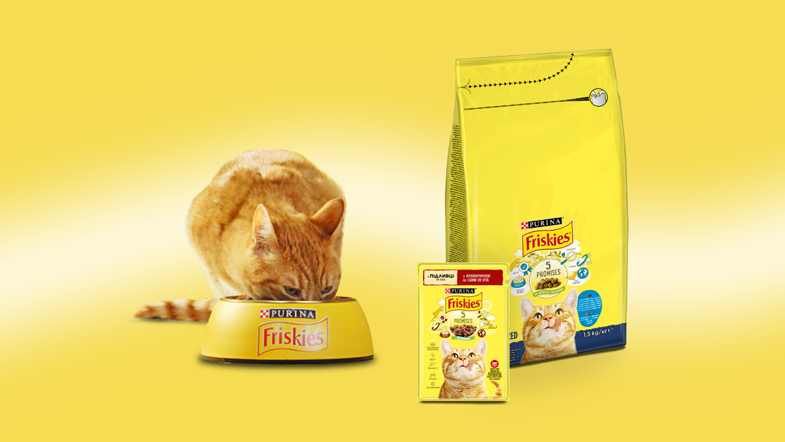 Рудий кіт їсть корм з миски, поруч упаковки волого та сухого корму