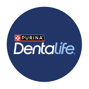 Dentalife®