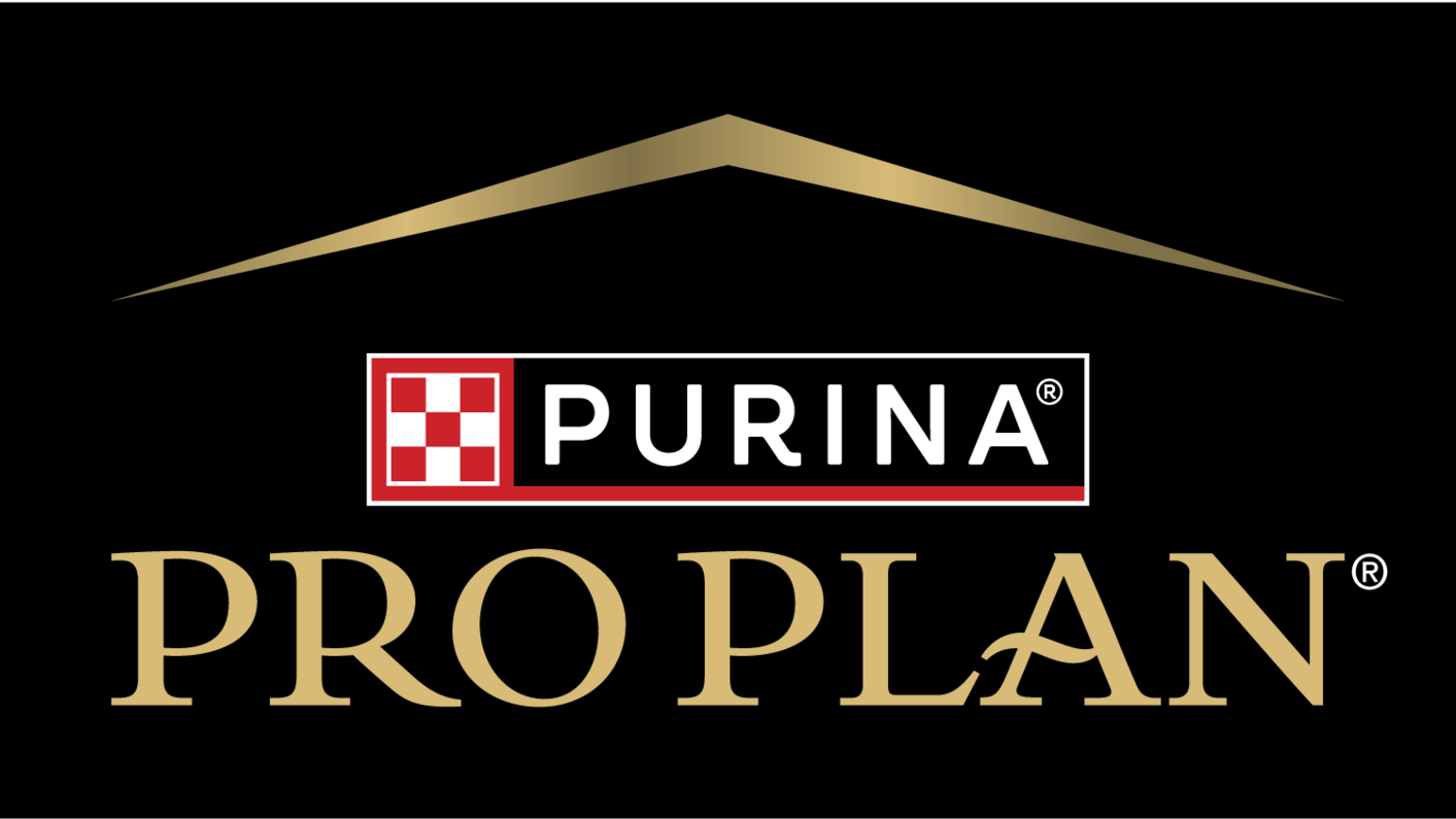 Pro Plan лого
