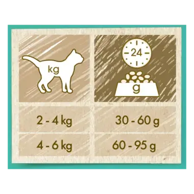 CAT CHOW® Сухий повнораціонний корм для дорослих котів, проти утворення волосяних кульок у травному тракті, з куркою.