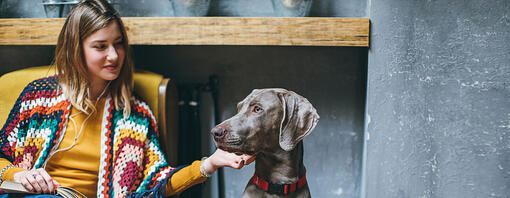 Senior dog with owner