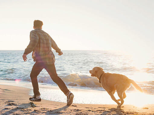 Чоловік і собака бігають по пляжу