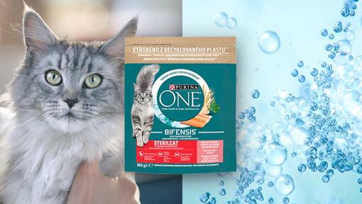 Purina ONE Purina